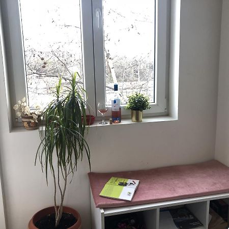 Studio 50 With Terrace Belgrade Extérieur photo