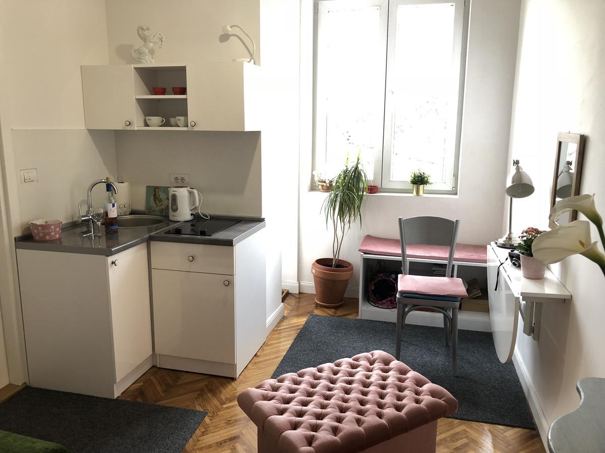 Studio 50 With Terrace Belgrade Extérieur photo